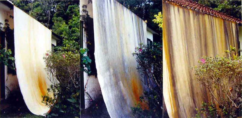 Projeto para uma pintura temporal (2002), de Thiago Rocha Pitta